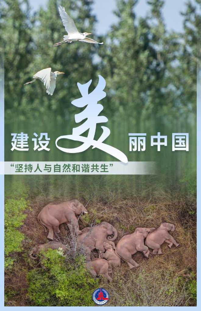 //www.news.cn/politics/2021-12/04/1128131008_16386076670131n.jpg